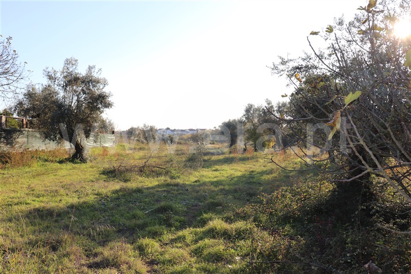 Terreno com ruina  Abrantes, Alferrarede-Velha - 1287923 - 6