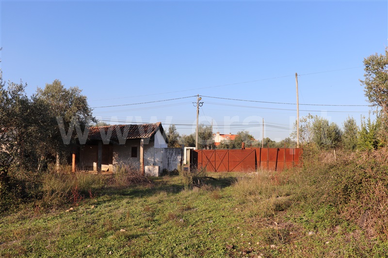 Terreno com ruina  Abrantes, Alferrarede-Velha - 1287923 - 7
