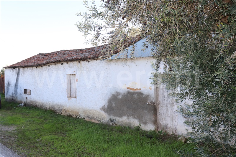 Terreno com ruina  Abrantes, Alferrarede-Velha - 1287923 - 8