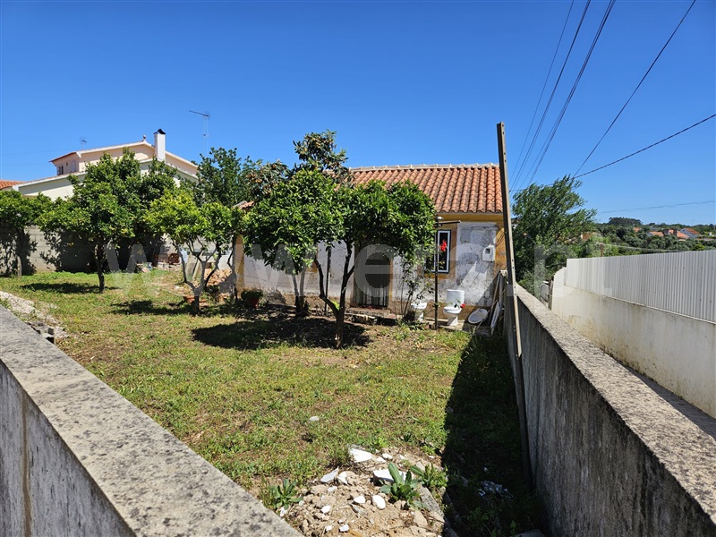 Terreno com ruina / Abrantes, Alferrarede-Velha