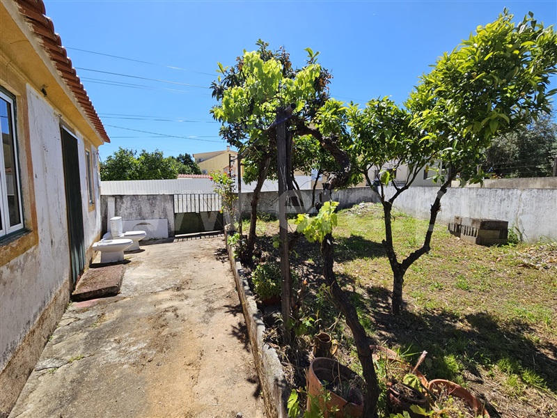 Terreno com ruina  Abrantes, Alferrarede-Velha - 1396562 - 8