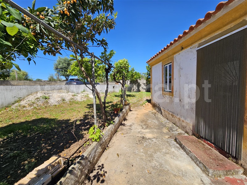 Terreno com ruina  Abrantes, Alferrarede-Velha - 1396562 - 10