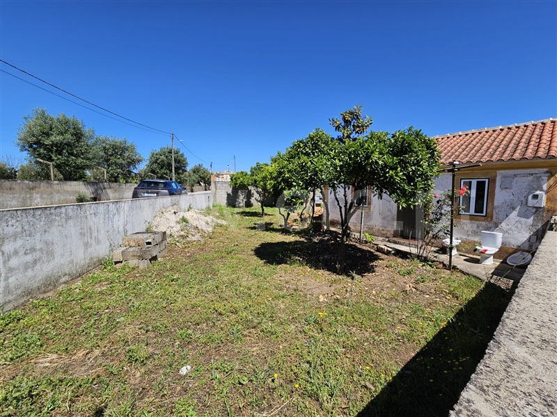 Terreno com ruina  Abrantes, Alferrarede-Velha - 1396562 - 11