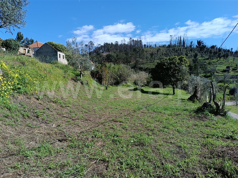 Terreno com ruina  Abrantes, Maxial - 1277229 - 8