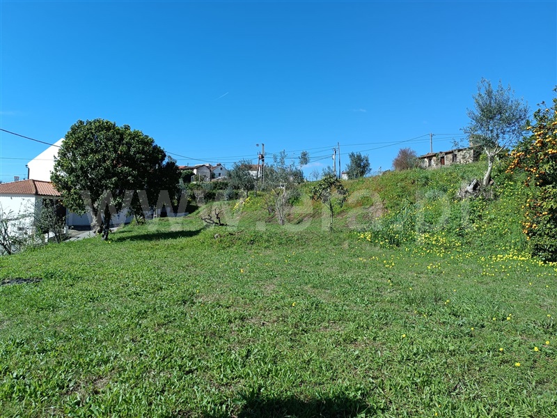 Terreno com ruina  Abrantes, Maxial - 1277229 - 11