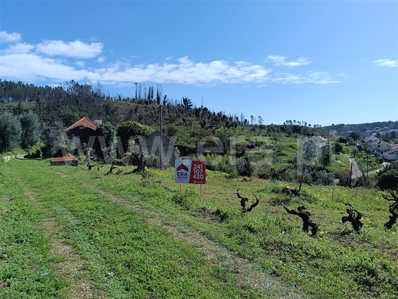 Terreno com ruina  Abrantes, Maxial - 1277229 - 13