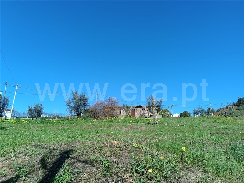 Terreno com ruina  Abrantes, Maxial - 1277229 - 14