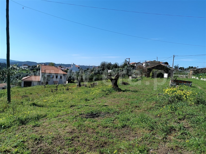 Terreno com ruina  Abrantes, Maxial - 1277229 - 15
