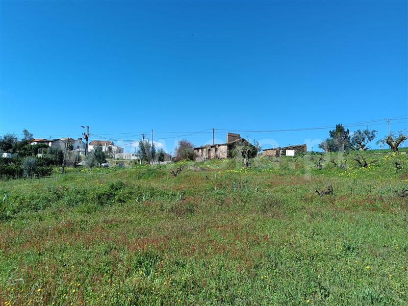 Terreno com ruina  Abrantes, Maxial - 1277229 - 17