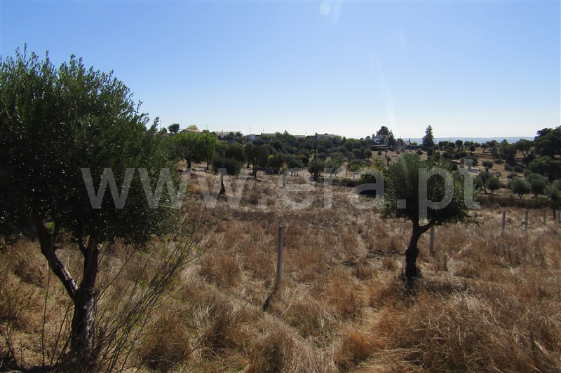 Terreno com ruina  Abrantes, Mouriscas - 1040118 - 6
