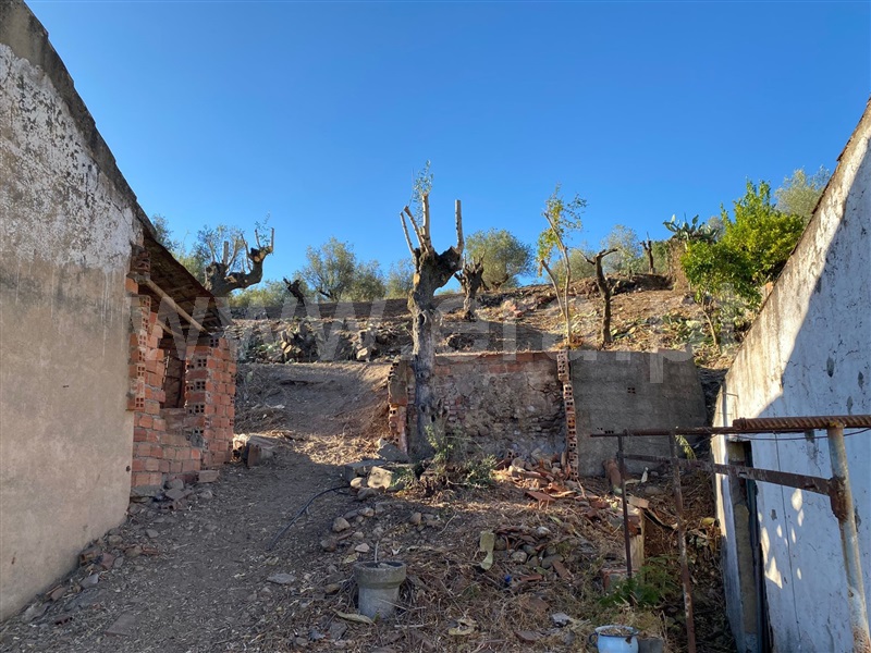 Moradia  Abrantes, Rio De Moinhos - 1262807 - 8