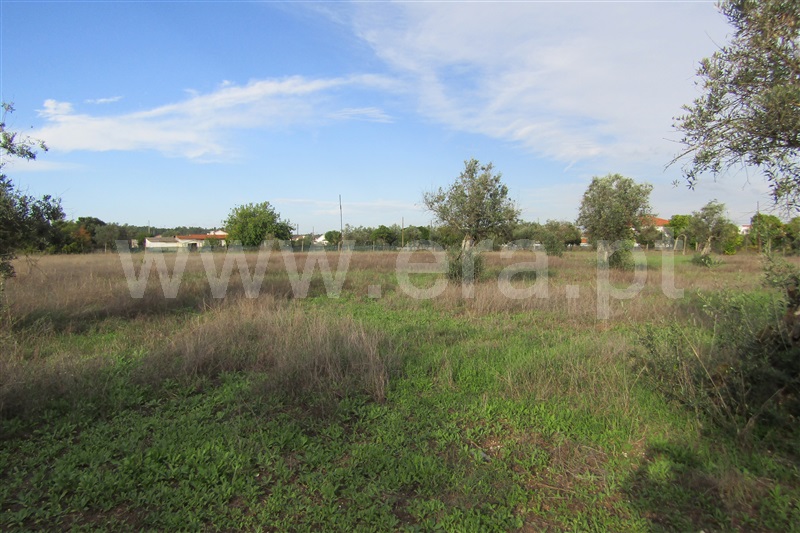 Terreno Urbano  Abrantes, Chainça - 1283704 - 3