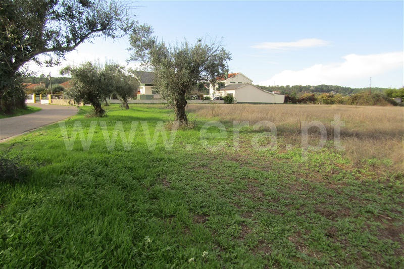Terreno Urbano  Abrantes, Chainça - 1283704 - 4
