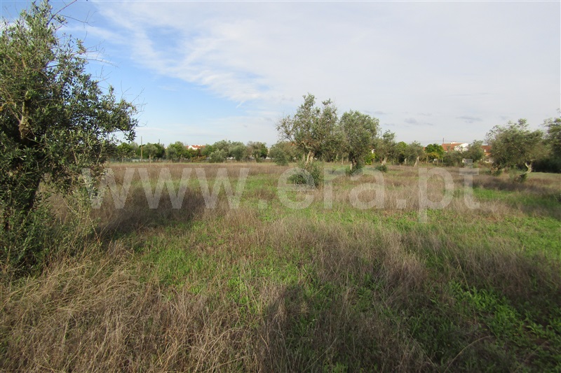Terreno Urbano  Abrantes, Chainça - 1283704 - 5