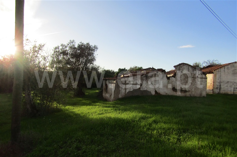 Terreno Urbano  Abrantes, Chainça - 1283704 - 6