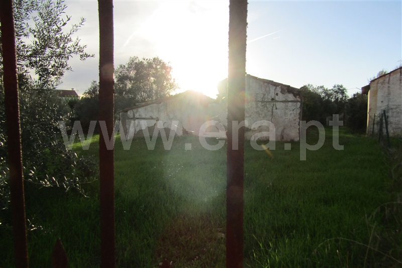 Terreno Urbano  Abrantes, Chainça - 1283704 - 9