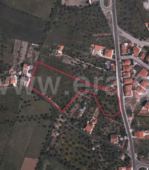 Terreno Urbano  Abrantes, Samarra - 1283704 - 11