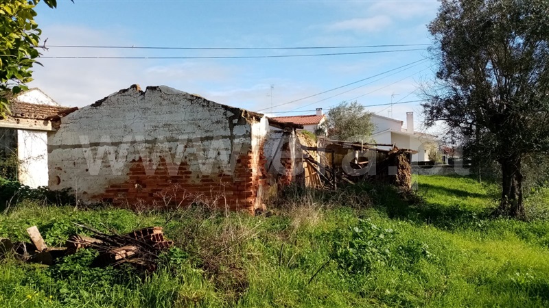 Terreno Urbano  Abrantes, Samarra - 1283704 - 12