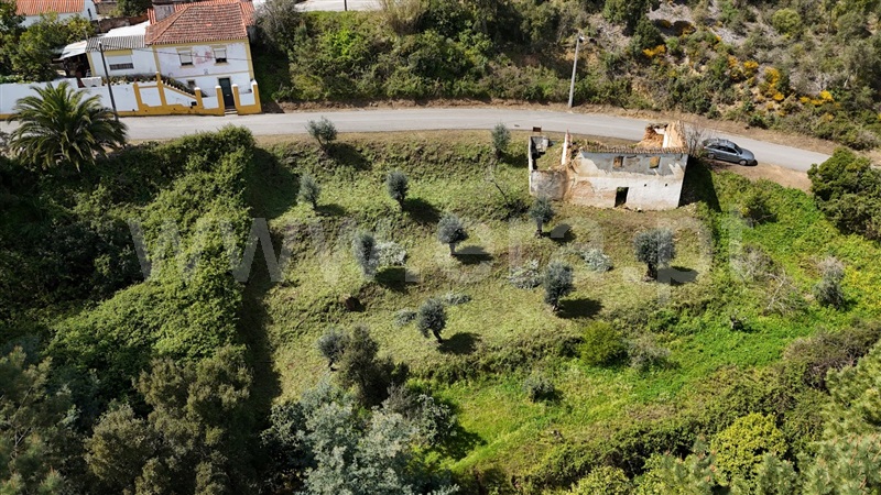Terreno com ruina  Abrantes, Sentieiras - 1383362 - 3