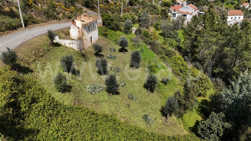 Terreno com ruina  Abrantes, Sentieiras - 1383362 - 5