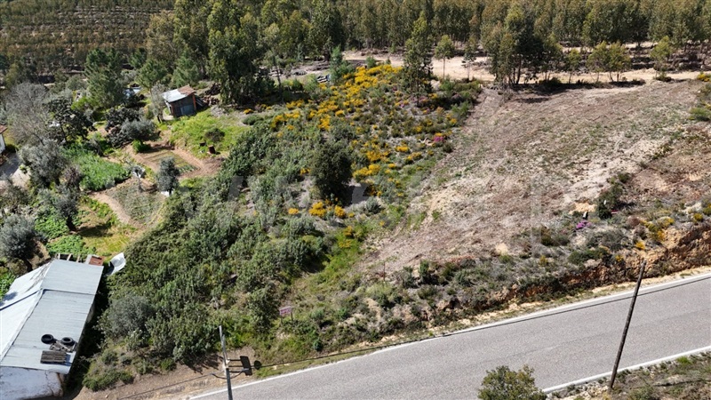 Terreno com ruina  Abrantes, Sentieiras - 1383362 - 7
