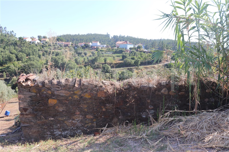 Terreno com ruina  Abrantes, Souto - 1423214 - 7