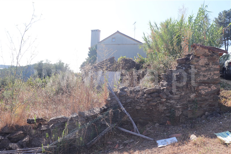 Terreno com ruina  Abrantes, Souto - 1423214 - 8