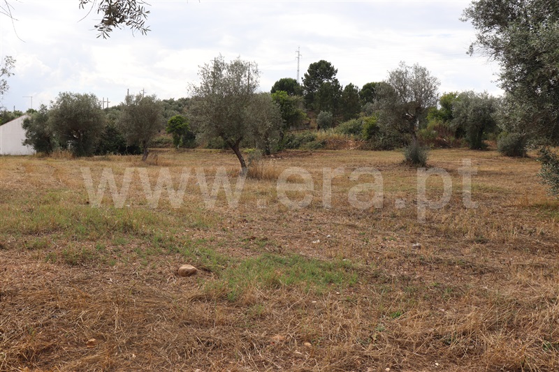 Terreno com ruina  Abrantes, Chainça - 1287915 - 2