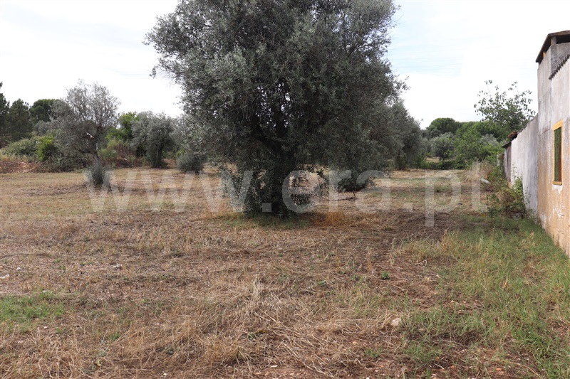 Terreno com ruina  Abrantes, Chainça - 1287915 - 3