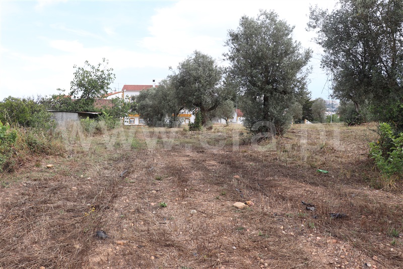 Terreno com ruina  Abrantes, Chainça - 1287915 - 4
