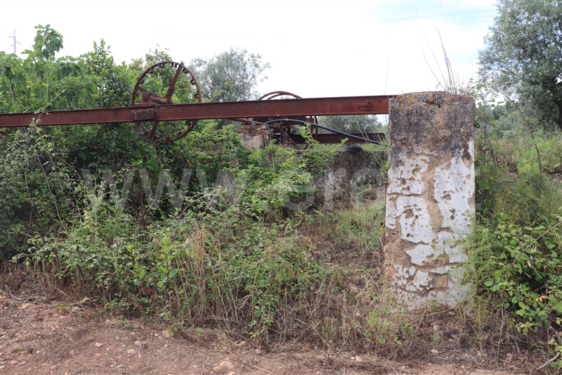 Terreno com ruina  Abrantes, Chainça - 1287915 - 5
