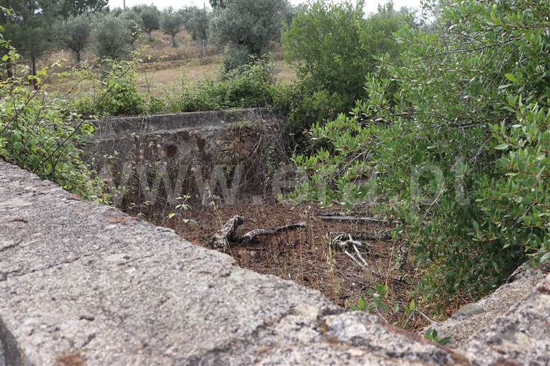 Terreno com ruina  Abrantes, Chainça - 1287915 - 7
