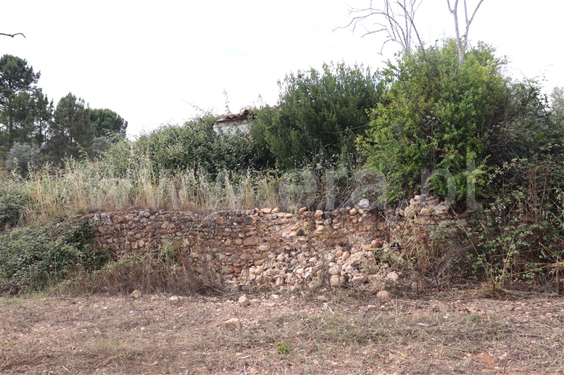 Terreno com ruina  Abrantes, Chainça - 1287915 - 11
