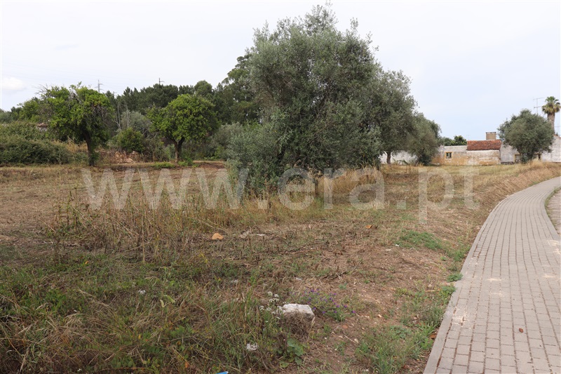 Terreno com ruina  Abrantes, Chainça - 1287915 - 12