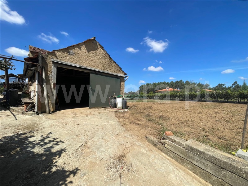 Terreno com ruina / Águeda, Aguadalte