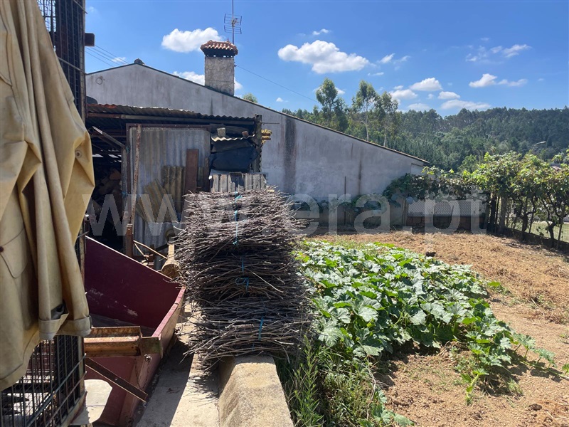 Terreno com ruina  Águeda, Aguadalte - 1426863 - 5