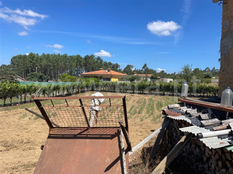 Terreno com ruina  Águeda, Aguadalte - 1426863 - 6