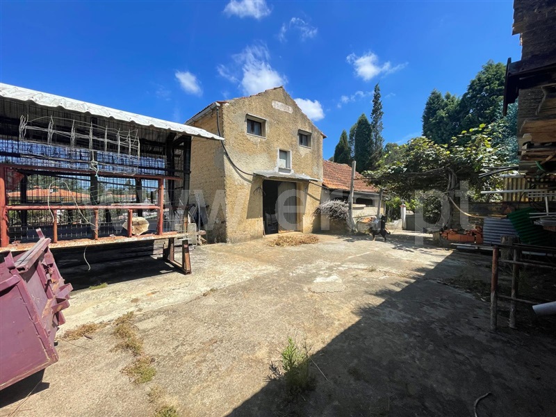 Terreno com ruina  Águeda, Aguadalte - 1426863 - 9