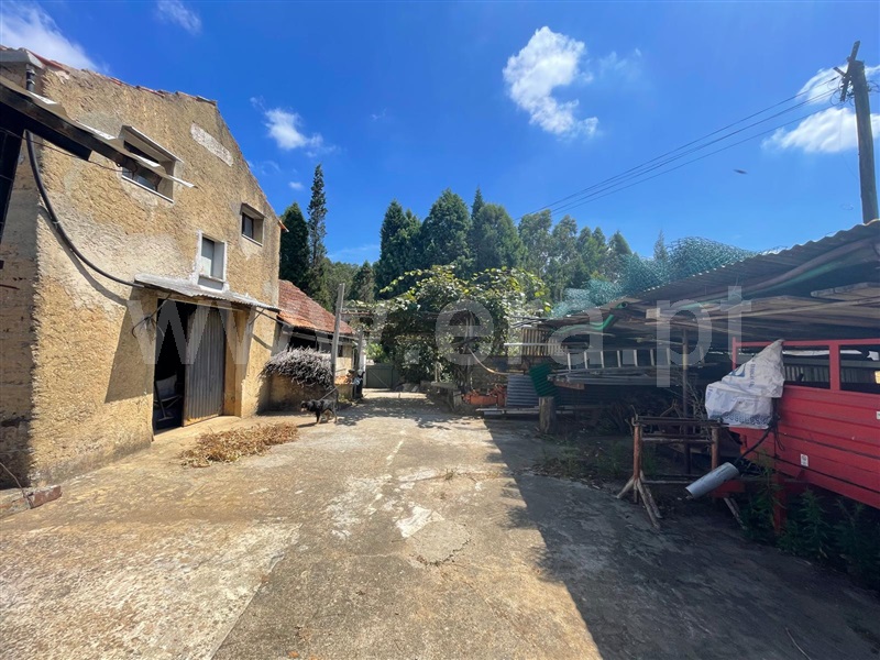 Terreno com ruina  Águeda, Aguadalte - 1426863 - 10