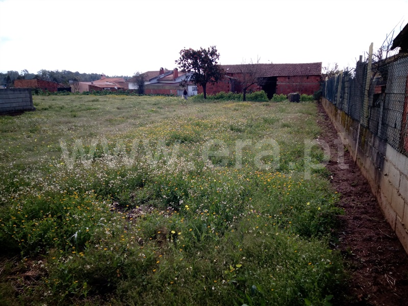 Terreno com ruina / Albergaria-a-Velha, Fial