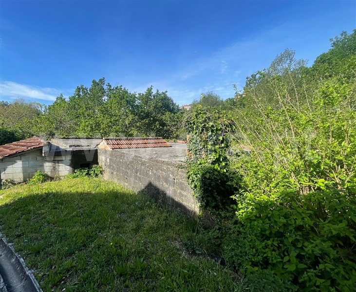 Terreno com ruina / Albergaria-a-Velha, Ribeira de Fráguas