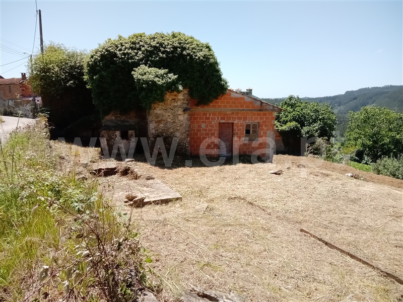 Terreno com ruina / Albergaria-a-Velha, Telhadela