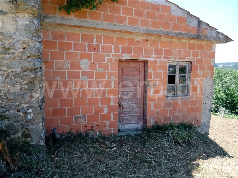 Andar Moradia  Albergaria-a-Velha, Telhadela - 1258849 - 13