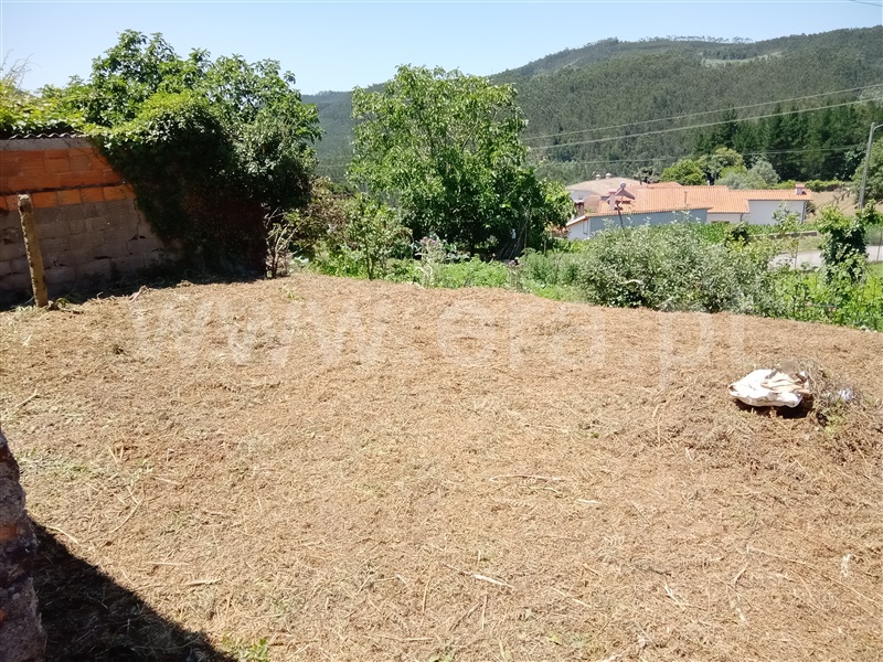 Moradia Isolada  Albergaria-a-Velha, Telhadela - 1260427 - 16