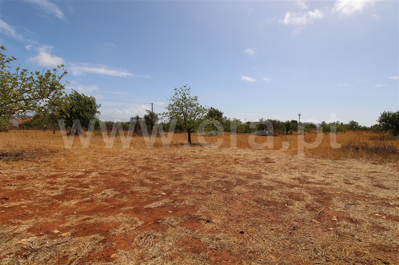 Terreno com ruina / Albufeira, Paderne
