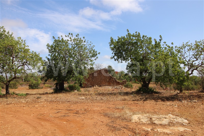 Terreno com ruina  Albufeira, Paderne - 1119210 - 6