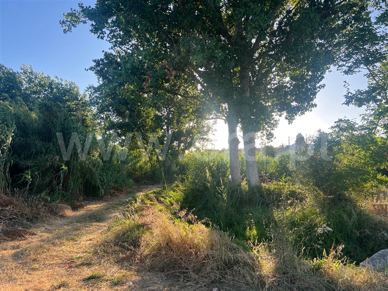 Terreno com ruina  com Urbano Alcácer do Sal, Torrão - 1480721 - 3