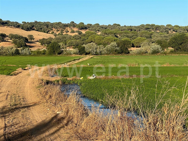 Terreno com ruina  com Urbano Alcácer do Sal, Torrão - 1480721 - 7