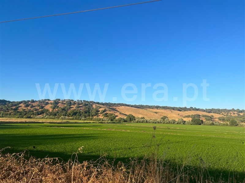 Terreno com ruina  com Urbano Alcácer do Sal, Torrão - 1480721 - 8