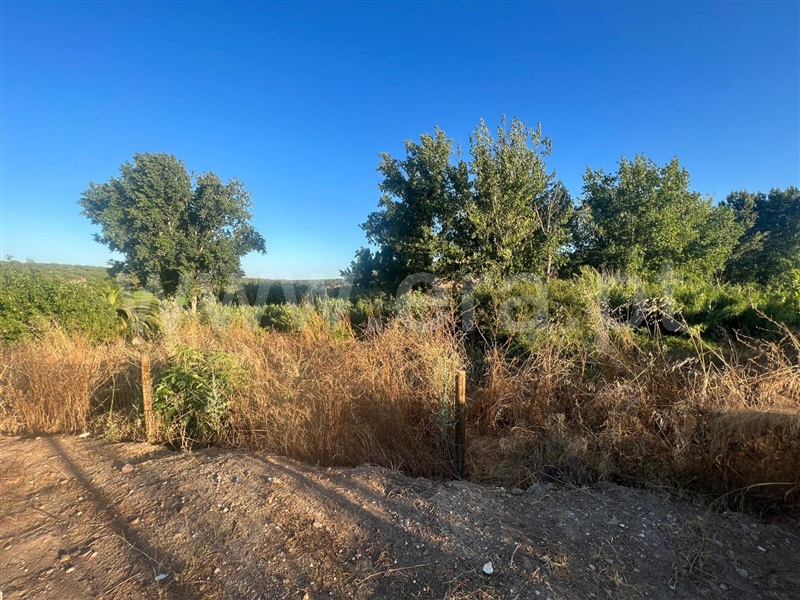 Terreno com ruina  com Urbano Alcácer do Sal, Torrão - 1480721 - 9